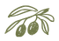 Olive branch